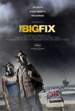 Watch The Big Fix 9movies