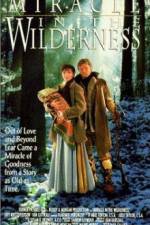 Watch Miracle in the Wilderness 9movies