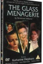 Watch The Glass Menagerie 9movies