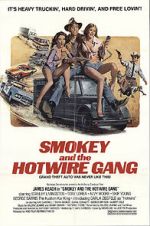 Watch Smokey and the Hotwire Gang 9movies