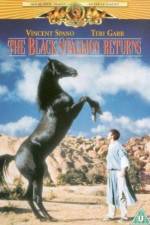 Watch The Black Stallion Returns 9movies