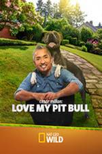 Watch Cesar Millan: Love My Pit Bull 9movies