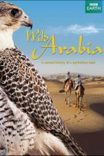 Watch Wild Arabia 9movies