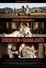 Watch Eisenstein in Guanajuato 9movies
