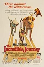 Watch The Incredible Journey 9movies