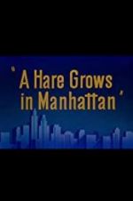 Watch A Hare Grows in Manhattan 9movies