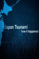 Watch Japan Tsunami: How It Happened 9movies