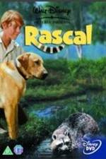 Watch Rascal 9movies