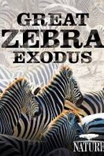 Watch Nature: Great Zebra Exodus 9movies