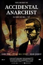 Watch Accidental Anarchist 9movies