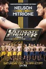 Watch The Ultimate Fighter 16 Finale Nelson vs Mitrione 9movies