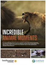 Watch Incredible Animal Moments 9movies