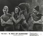 Watch A Ray of Sunshine: An Irresponsible Medley of Song and Dance 9movies