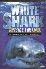 Watch National Geographic white shark:outside the cage 9movies