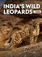 Watch India\'s Wild Leopards (Short 2020) 9movies