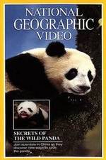 Watch Secrets of the Wild Panda 9movies