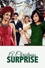 Watch A Christmas Surprise 9movies
