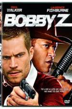 Watch The Death and Life of Bobby Z 9movies