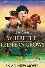 Watch Where the Red Fern Grows 9movies