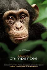 Watch Chimpanzee 9movies