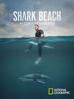 Watch Shark Beach with Chris Hemsworth (TV Special 2021) 9movies