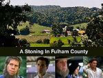 Watch A Stoning in Fulham County 9movies