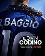 Watch Baggio: The Divine Ponytail 9movies