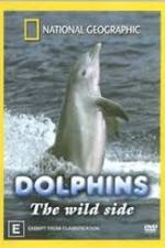 Watch Dolphins: The Wild Side 9movies