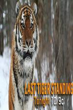 Watch Discovery Channel-Last Tiger Standing 9movies