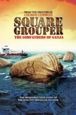 Watch Square Grouper 9movies