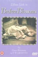 Watch Broken Blossoms or The Yellow Man and the Girl 9movies