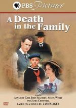 Watch A Death in the Family 9movies