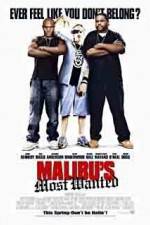 Watch Malibu's Most Wanted 9movies