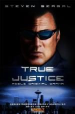 Watch True Justice: Brotherhood 9movies