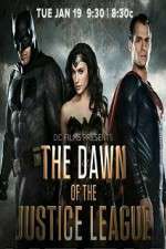 Watch Dawn of the Justice League 9movies