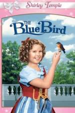 Watch The Blue Bird 9movies