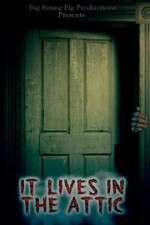 Watch It Lives in the Attic 9movies