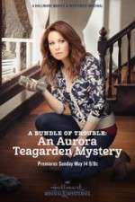 Watch A Bundle of Trouble: An Aurora Teagarden Mystery 9movies