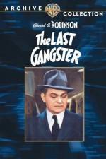 Watch The Last Gangster 9movies