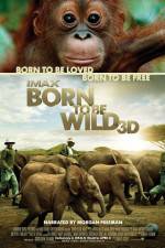 Watch Born to Be Wild 9movies