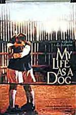 Watch My Life As A Dog 9movies