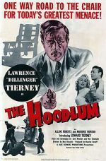 Watch The Hoodlum 9movies