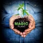 Watch The Magic Plant 9movies