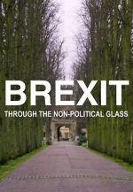 Watch Brexit Through the Non-Political Glass 9movies