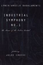 Watch Industrial Symphony No 1 The Dream of the Brokenhearted 9movies