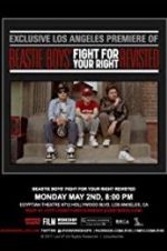 Watch Beastie Boys: Fight for Your Right Revisited 9movies
