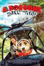 Watch A Doggone Hollywood 9movies