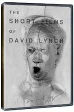 Watch The Short Films of David Lynch 9movies