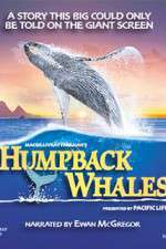 Watch Humpback Whales 9movies