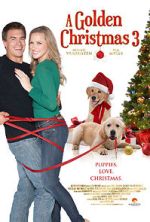 Watch A Golden Christmas 3 9movies